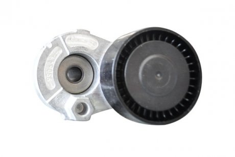 Ролик ремня генератора Renault Logan (04-), Megane (03-), Kangoo, Laguna, Sandero (08-), Duster (10-) 1,5 dCI с конд ASAM 30686