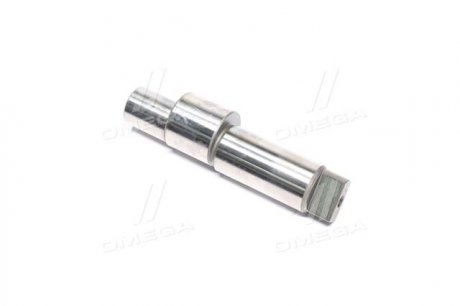 Елемент насосу Common Rail BOSCH F 01M 100 285