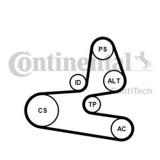 Комплект поліклиновий (ремінь+ролики) Contitech 6PK1564 K1 (фото 1)