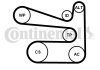 Комплект поліклиновий (ремінь+ролики) Contitech 6PK1693 K1 (фото 1)