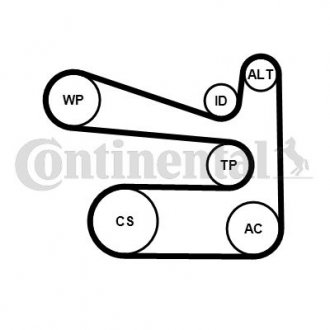 Комплект поліклиновий (ремінь+ролики) Contitech 6PK1693 K1 (фото 1)