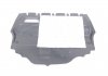 Защита двигателя Skoda Fabia (06-14)/VW Polo (01-09,09-14)/Seat Ibiza (09-) DPA 88250847002 (фото 1)