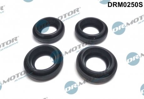 Комплект прокладок гумових DR.MOTOR DRM0250S