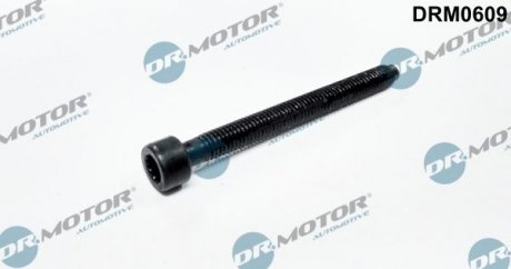 Болт з головкою системи TORX з чорного металу DR.MOTOR DRM0609