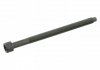 Болт головки VW Caddy III 1.9TDI/2.0SDI/2.0TDI FEBI BILSTEIN 26420