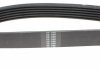 Ремінь генератора Ford Fiesta 1.4TDCI 01- HUTCHINSON 1336 K 6 (фото 3)