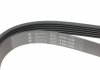 Ремінь генератора Ford Fiesta 1.4TDCI 01- HUTCHINSON 1336 K 6 (фото 4)