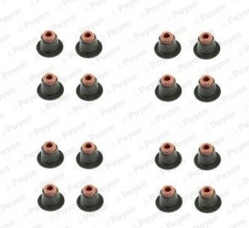 Сальник клапана (компл.) BMW N42/N46 (16PCS) Payen HR5086