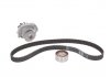 Ремкомплект ГРМ + помпа ALFA/FIAT/FORD/LANCIA Mito/500/Punto/Idea/Linea/Punto/Ka/Ypsilon "1,2-1,4 "9 SKF VKMC 02206-2 (фото 1)