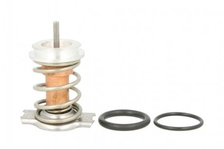 Термостат THERMOTEC D28001TT