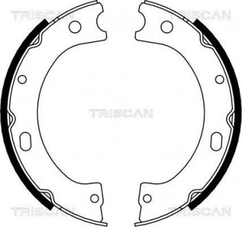 Комплект гальмівних колодок, Стоянкове гальмо TRISCAN 810014011