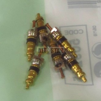 Клапан d=5.15 / L=19.55 (комплект из 6 штук) Valeo 509215