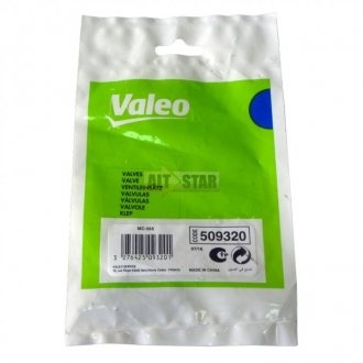 Клапан M6 L=18.8 (комплект из 6 штук) Valeo 509320